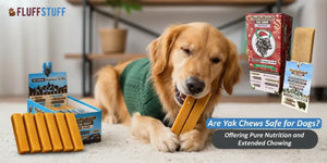 Are Yak Chews Safe for Dogs?