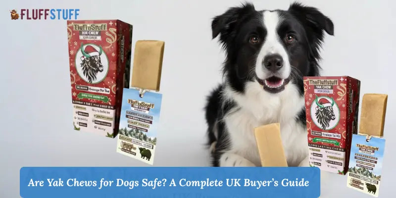 Are Yak Chews for Dogs Safe? A Complete UK Buyer’s Guide