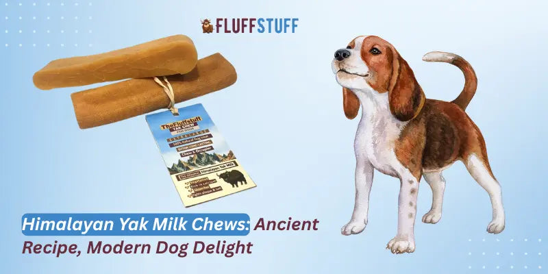 Himalayan Yak Milk Chews: Ancient Recipe, Modern Dog Delight