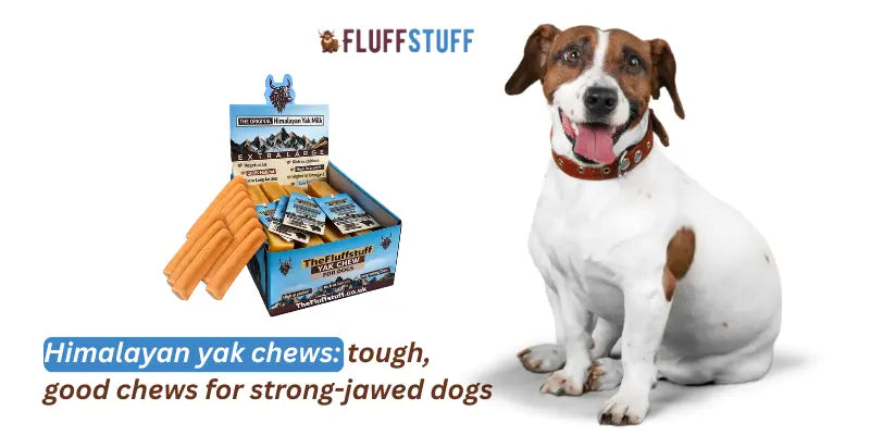 Himalayan yak chews: tough, good chews for strong-jawed dogs