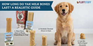 How to Store Yak Bones for Dogs Multipack Properly