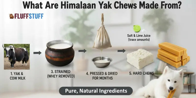 What Are Himalayan Yak Chews Made From