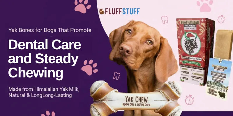 Yak Bones for Dogs That Promote Dental Care and Steady Chewing