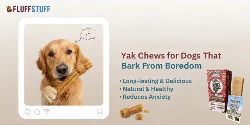 Yak Chews for Dogs That Bark From Boredom
