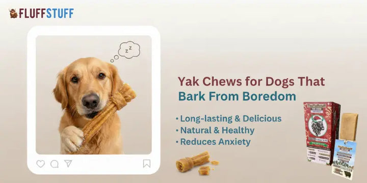 Yak Chews for Dogs That Bark From Boredom