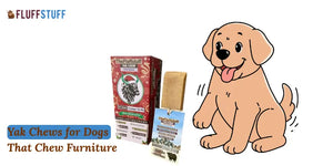 Yak Chews for Dogs That Chew Furniture