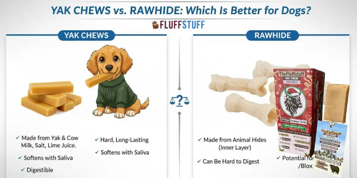 Yak Chews vs Rawhide: Which Is Better for Dogs