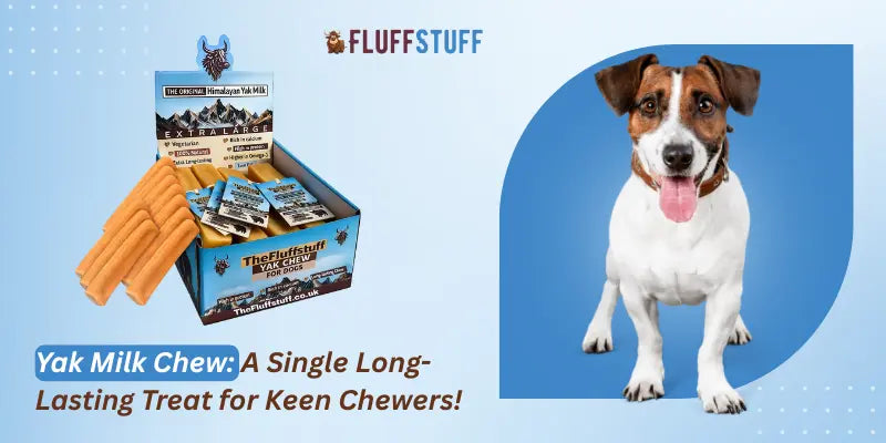 Yak Milk Chew: A Single Long-Lasting Treat for Keen Chewers!