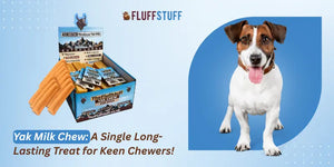 Yak Milk Chew: A Single Long-Lasting Treat for Keen Chewers!