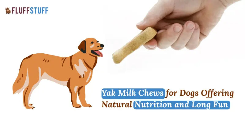 Yak Milk Chews for Dogs Offering Natural Nutrition and Long Fun