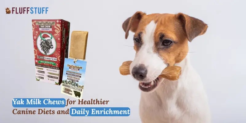 Yak Milk Chews for Healthier Canine Diets and Daily Enrichment