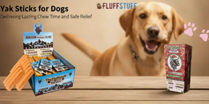 Yak Sticks for Dogs Delivering Lasting Chew Time and Safe Relief