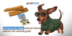 Yak bones for dogs: natural chews without the rawhide guilt!