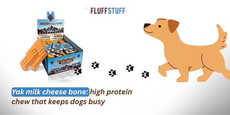 Yak milk cheese bone: high protein chew that keeps dogs busy