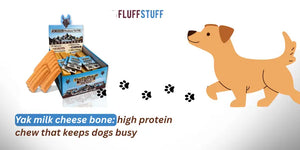 Yak milk cheese bone: high protein chew that keeps dogs busy