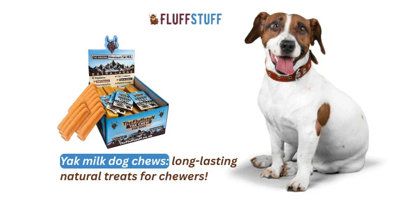 Yak milk dog chews: long-lasting natural treats for chewers!