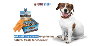 Yak milk dog chews: long-lasting natural treats for chewers!