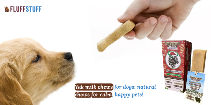Yak milk chews for dogs: natural chews for calm, happy pets!