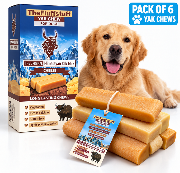 6 XL chews