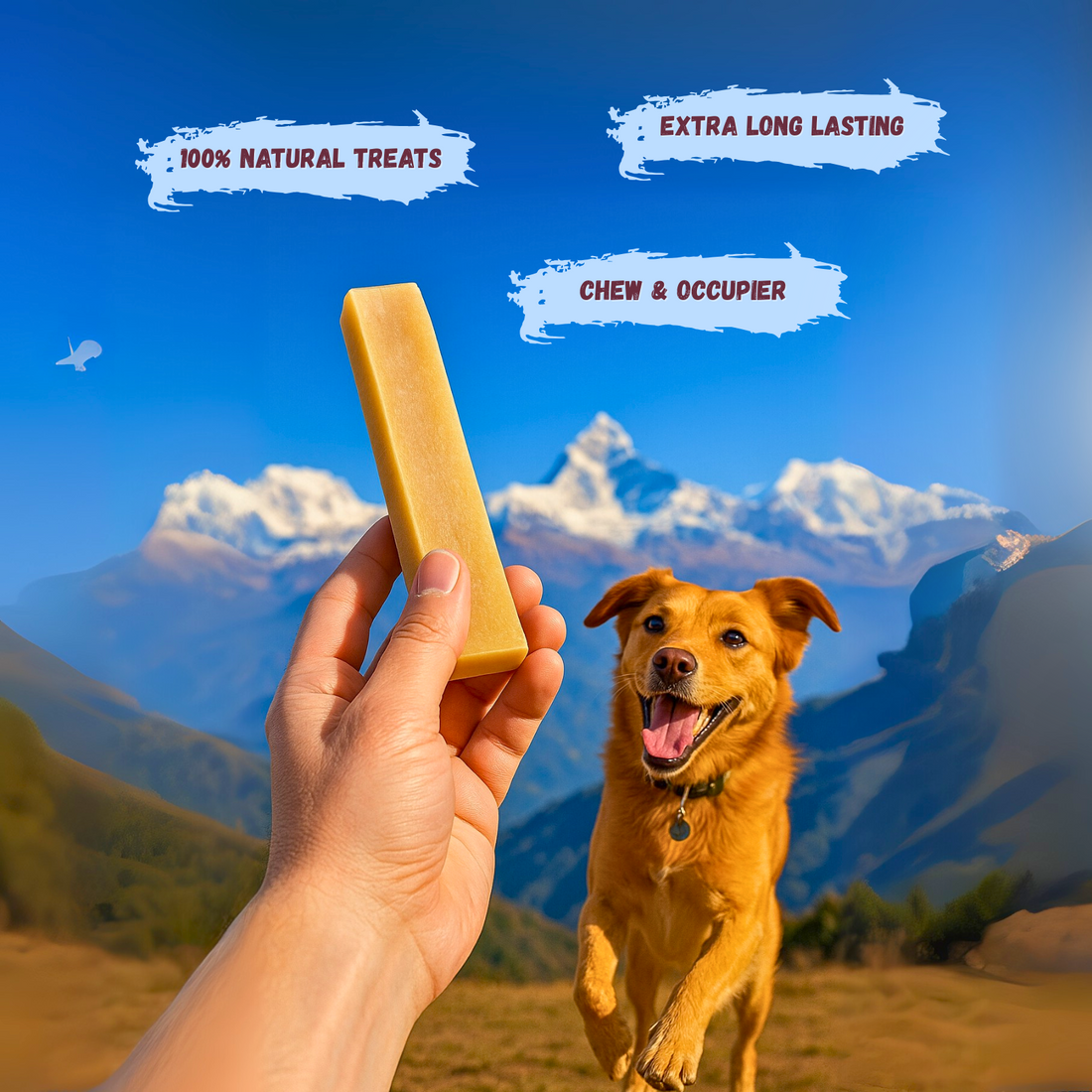 FluffStuff Yak Milk Dog Chews - XL - Pack of 4 - All Natural - Himalayan Yak Milk Made