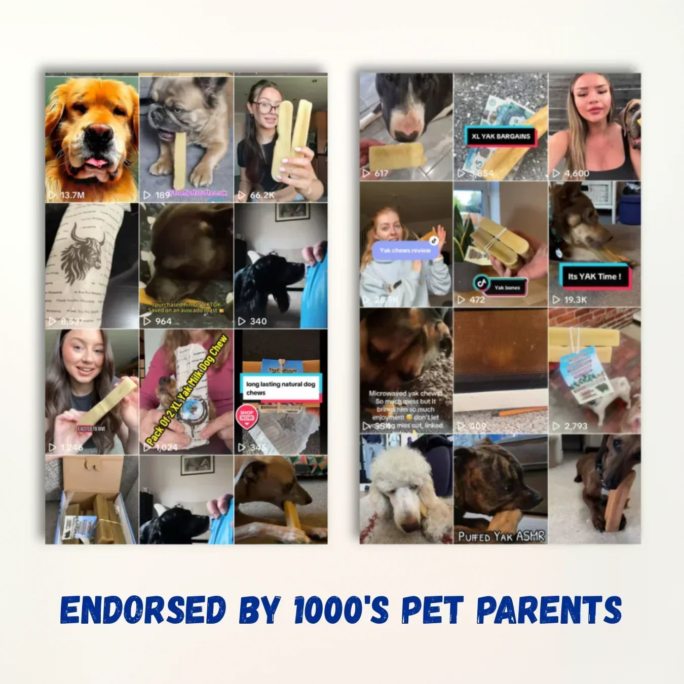 FluffStuff Yak Milk Dog Chews - XL - Pack of 2 - All Natural - Himalayan Yak Milk Made