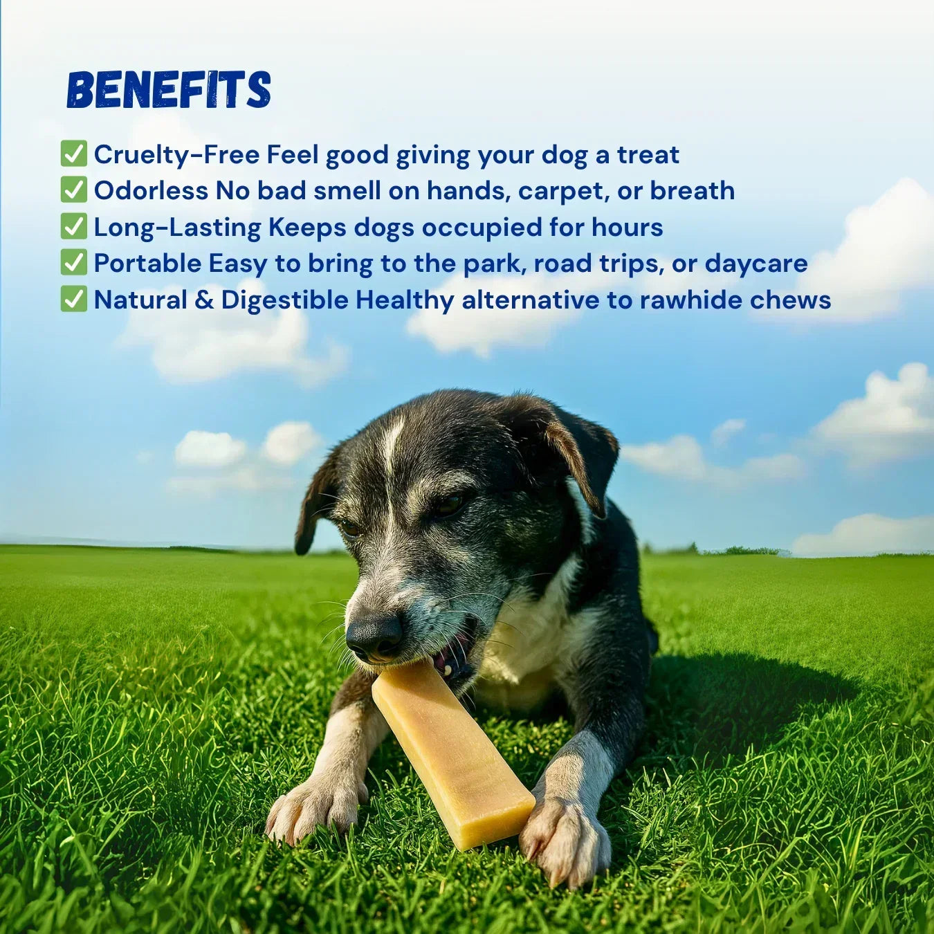 FluffStuff Yak Milk Dog Chews - XL - Pack of 2 - All Natural - Himalayan Yak Milk Made