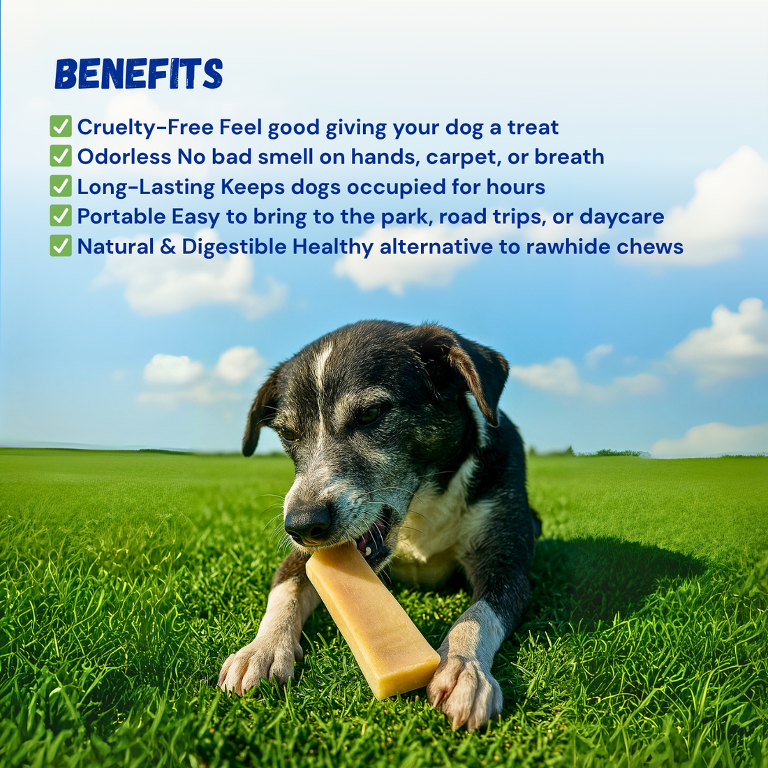 FluffStuff Yak Milk Dog Chews - XL - Pack of 4 - All Natural - Himalayan Yak Milk Made