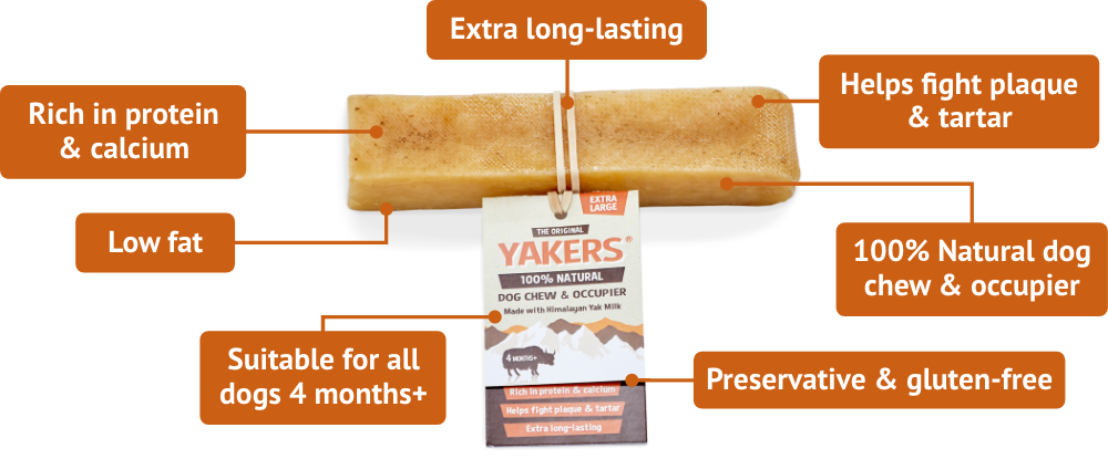 Yakers dog chew pack of 2 Extra large