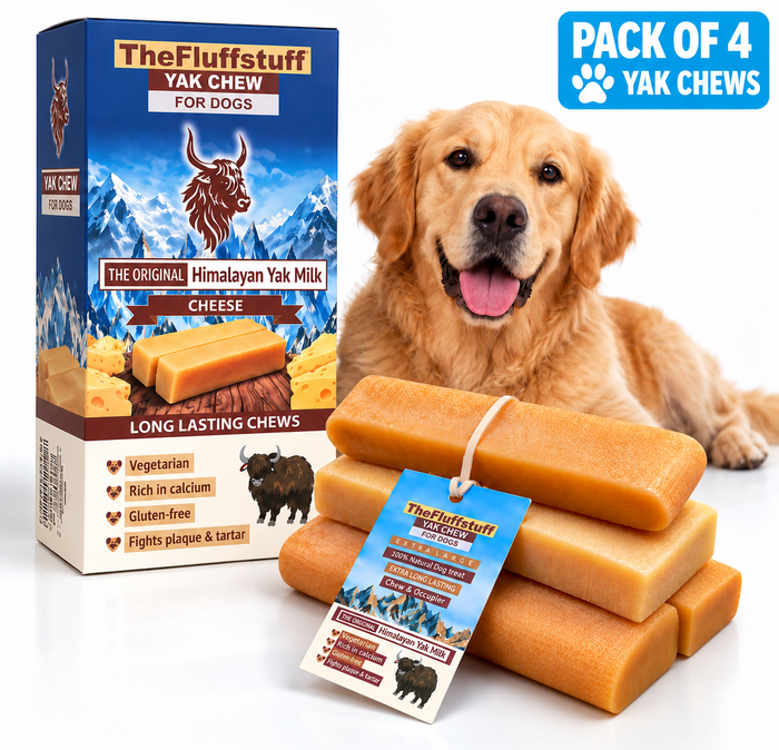 4 XL chews